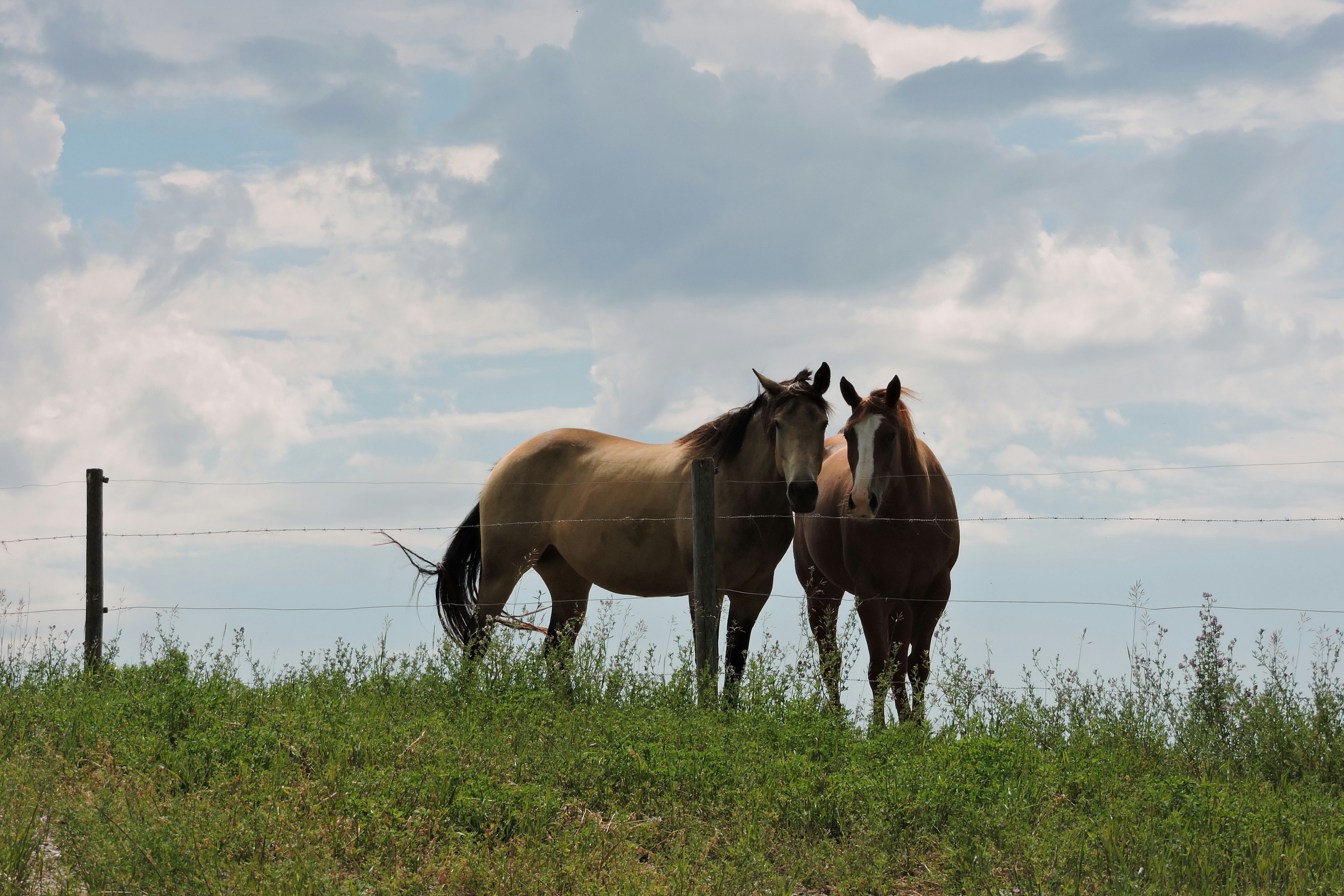 Free Unsplash photo from Lois Maeland