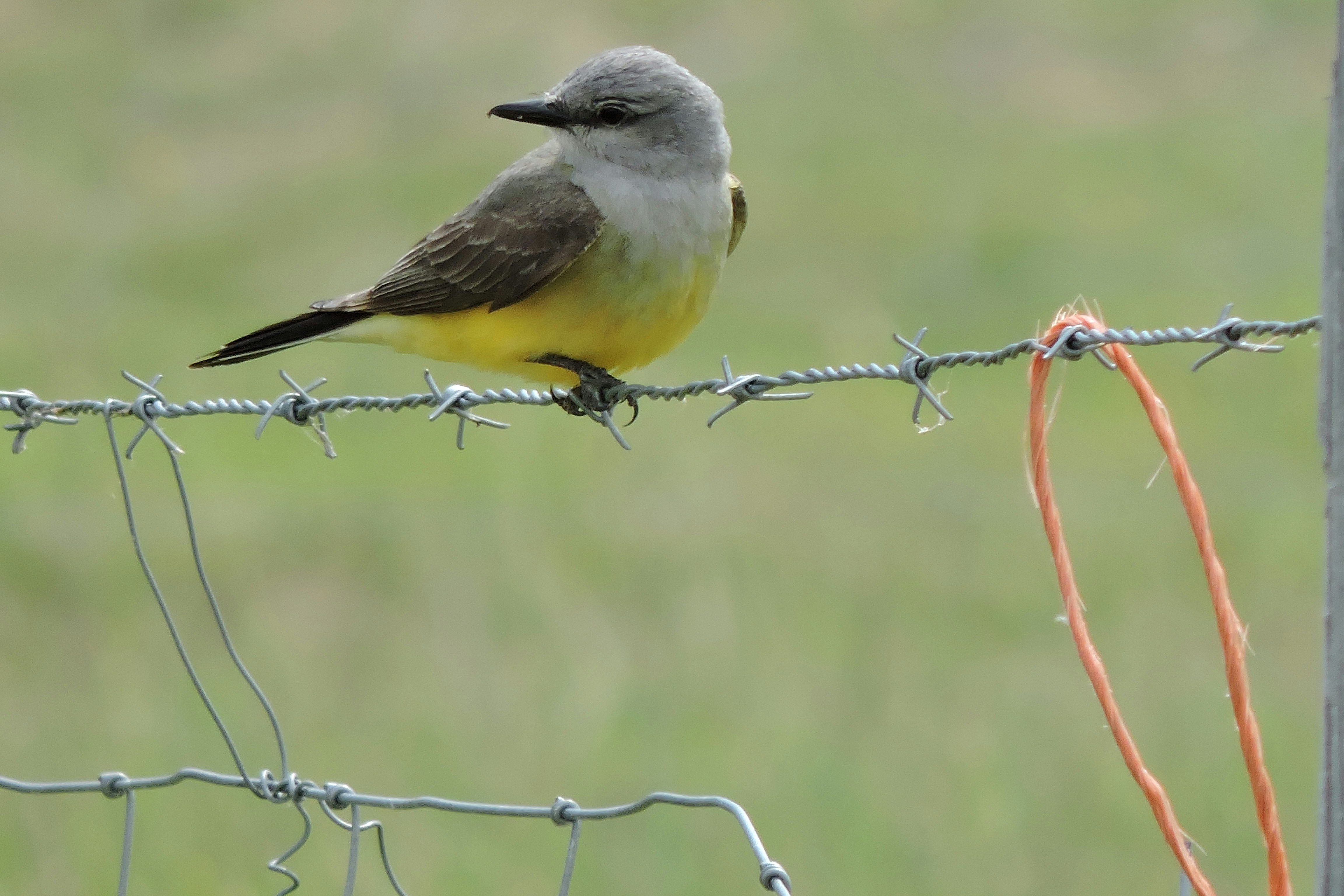 Free Unsplash photo from Lois Maeland