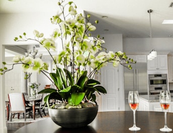 Fully equipped kitchen area in a family apartment with fresh flowers on the table.