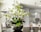 A bright kitchen with a dining table and fresh flowers.