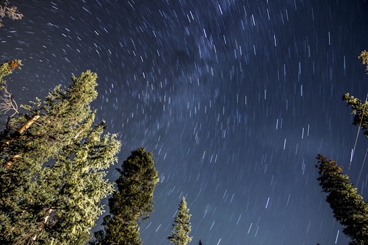 worms view of sky filled with stars