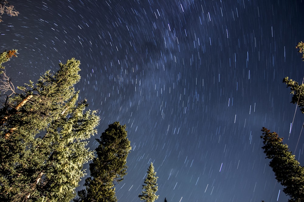 worms view of sky filled with stars