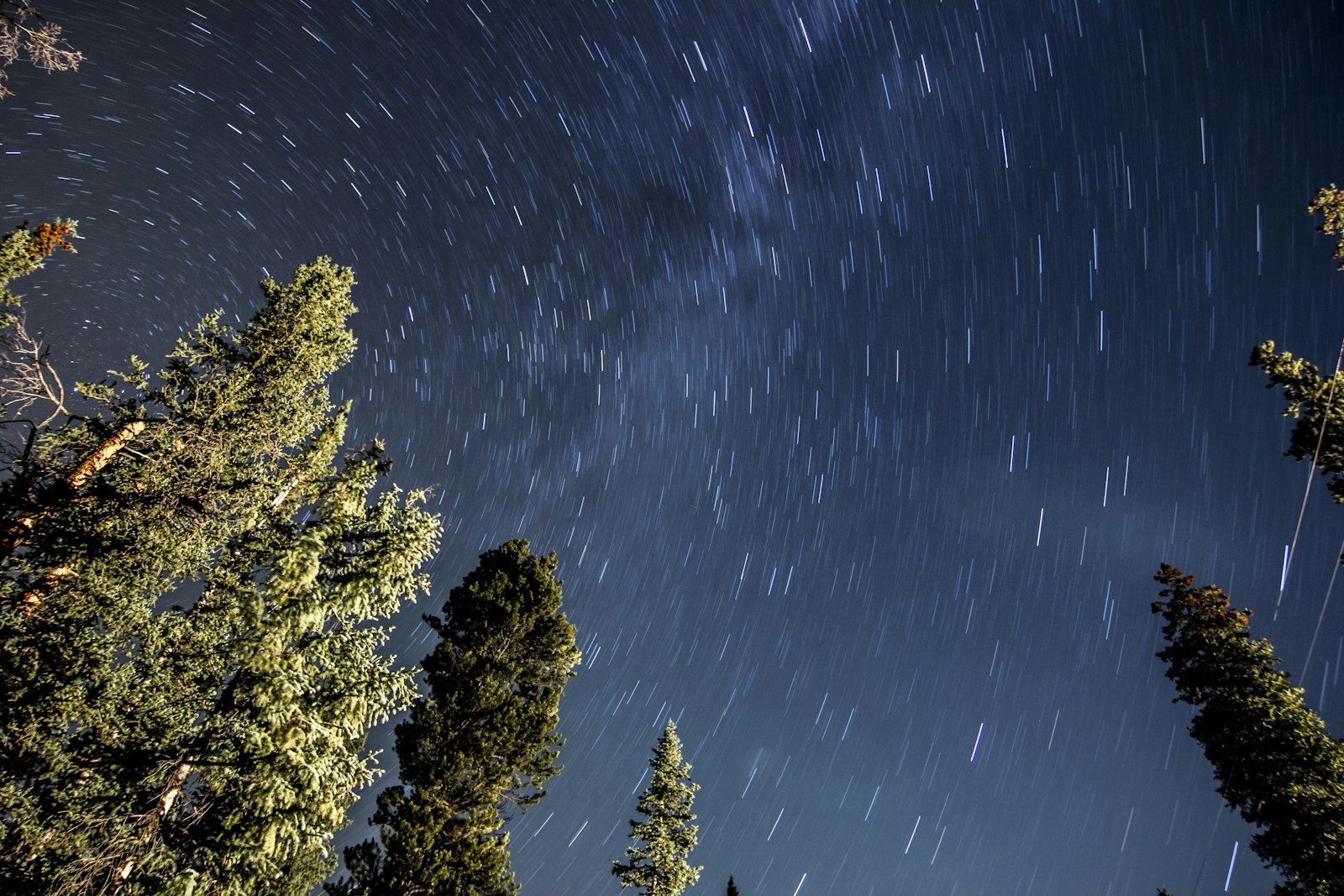 Tokina AT-X Pro 12-24mm F4 (IF) DX sample photo. Worms view of sky photography