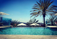 A serene villa pool surrounded by palm trees under a clear blue sky.