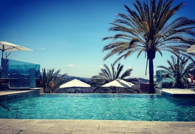 A tranquil pool area surrounded by palm trees.