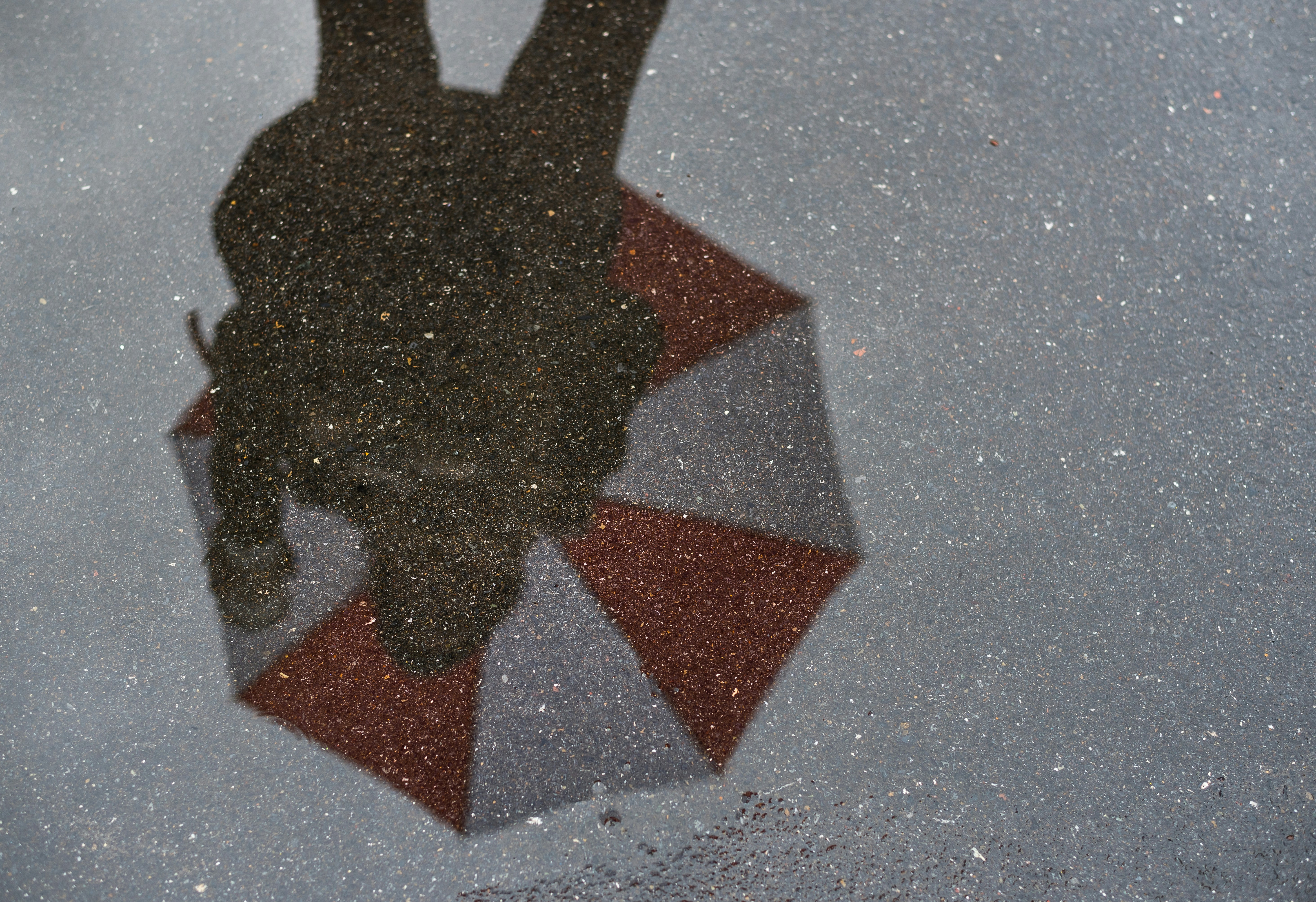 Free Unsplash photo from Edewaa Foster