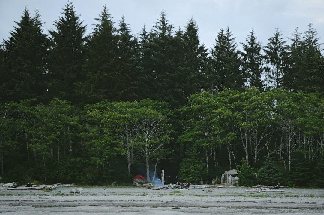 Forest photo spot Bamfield Lone Cone