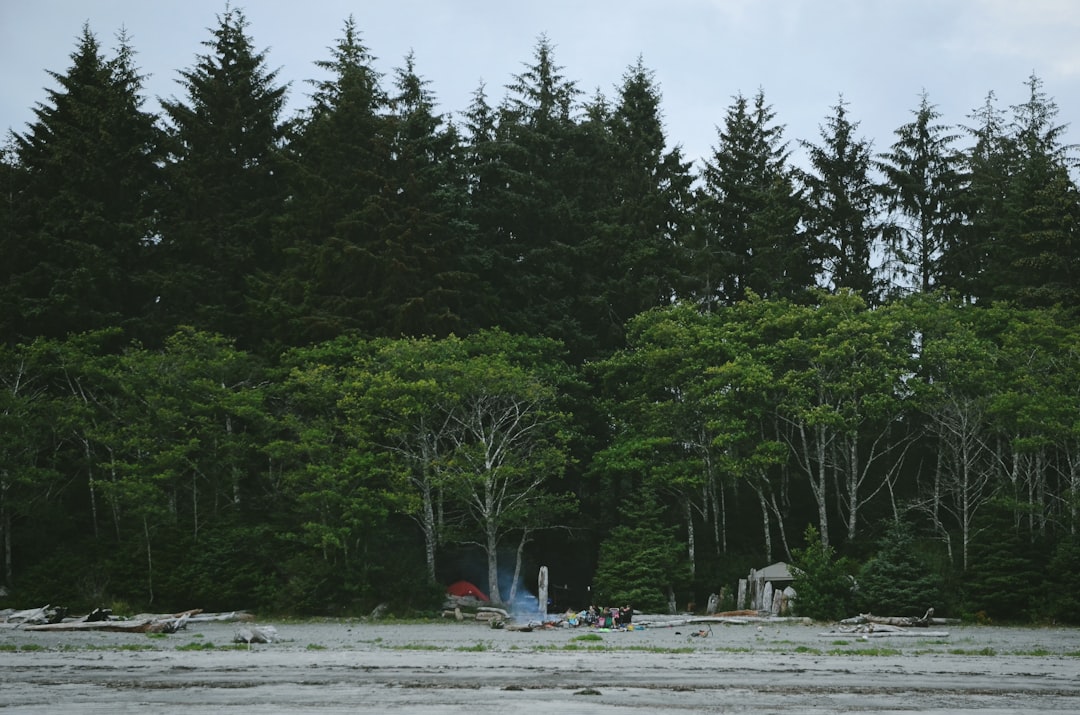 travelers stories about Forest in Bamfield, Canada