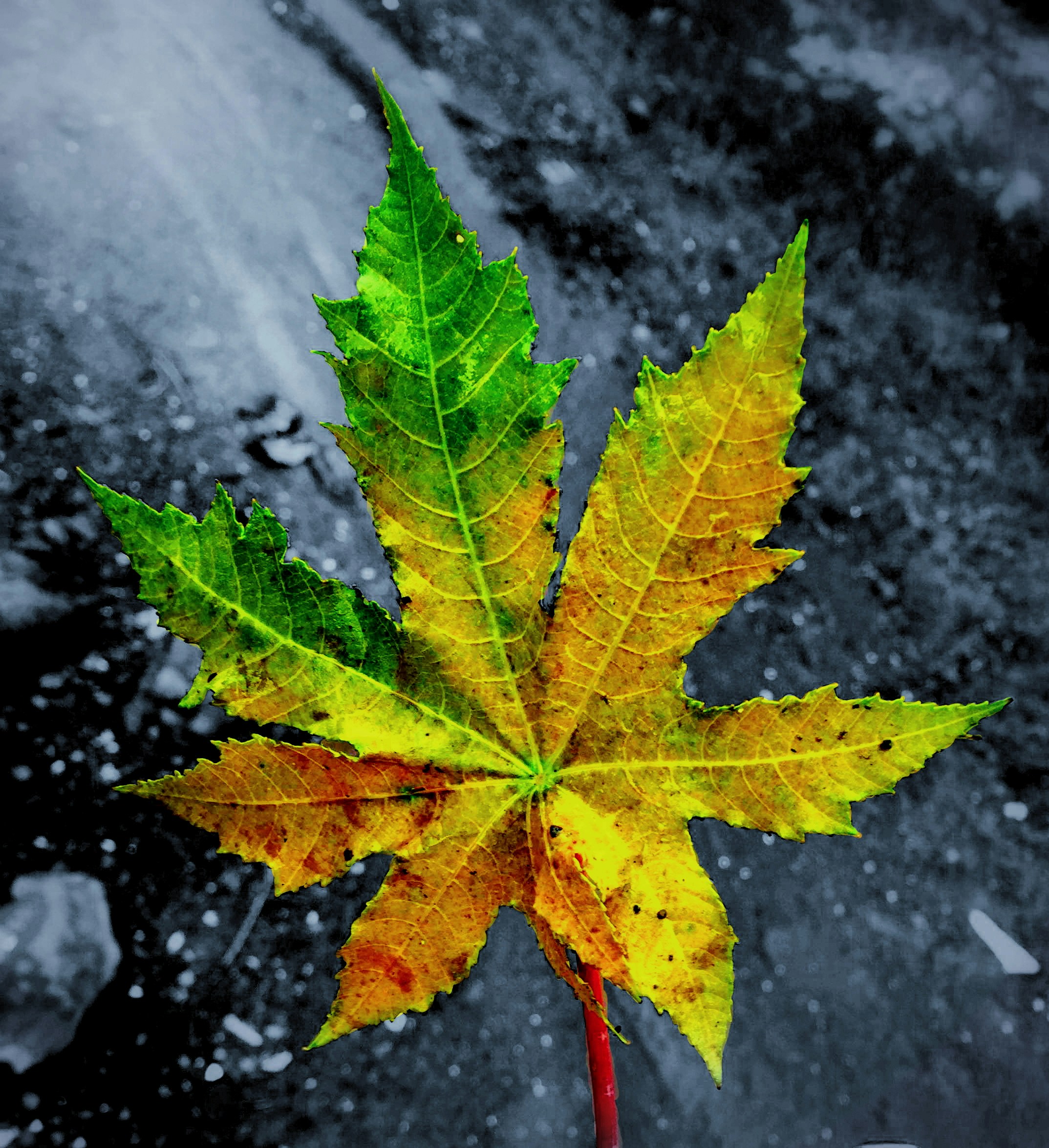 Free Unsplash photo from Swapnil Saraf