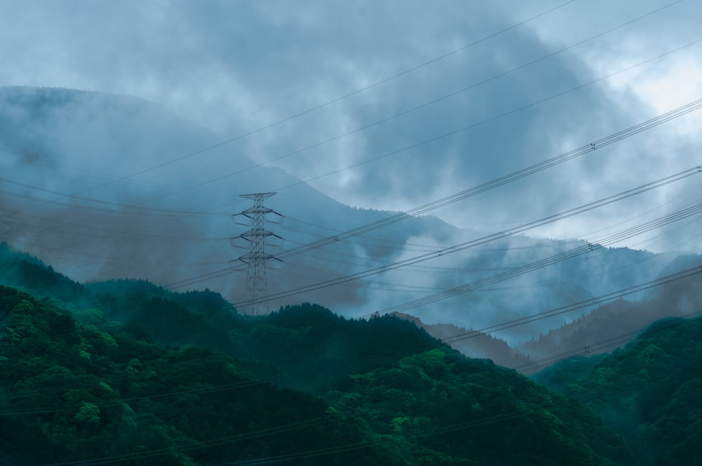 green leaf trees on mountain under cloudy sky during daytime