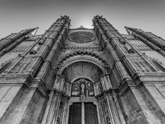 grayscale photo of low angle photo of concrete building in Catedral-Basílica de Santa María de Mallorca Spain