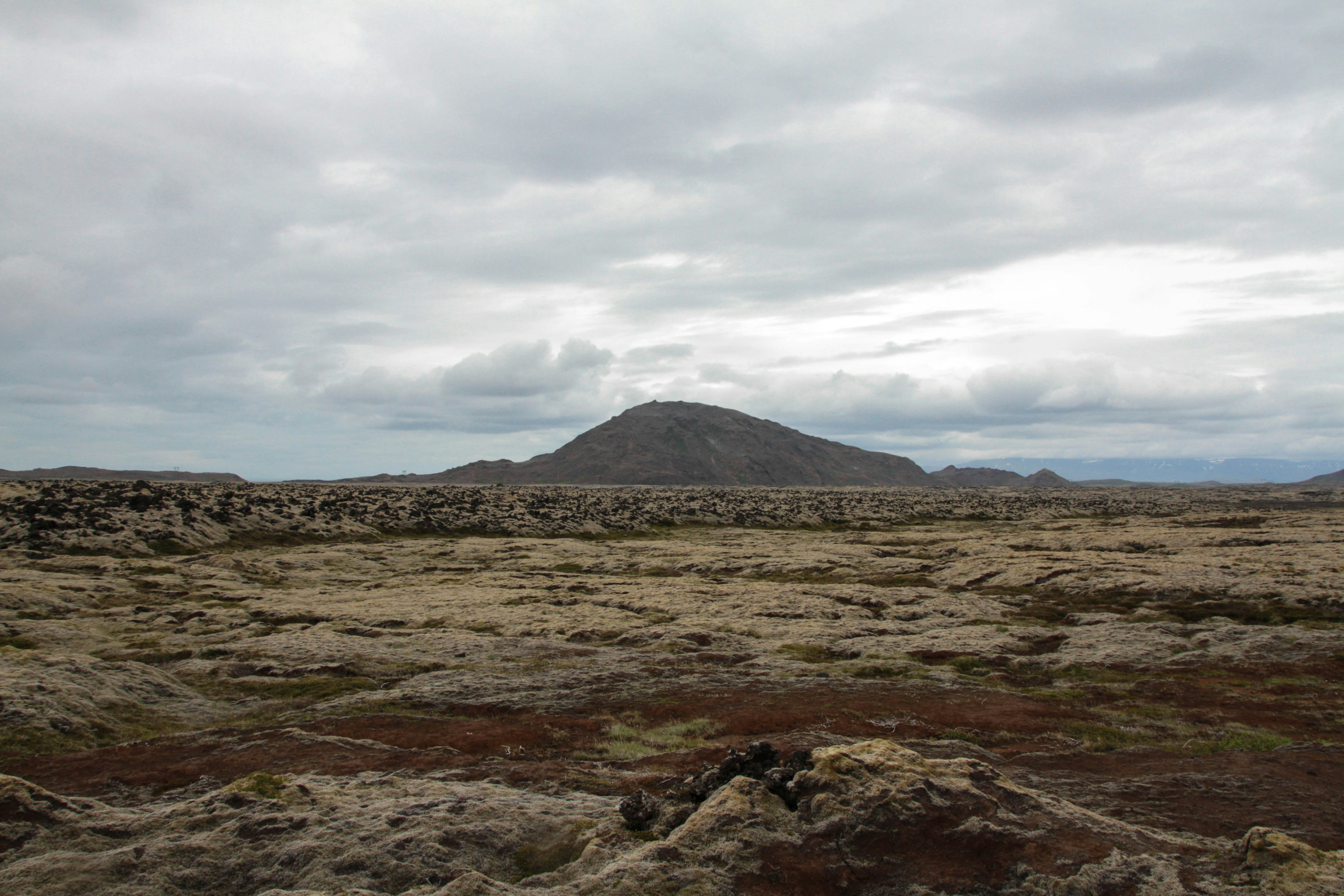 Free Unsplash photo from Anaïs kowalczyk