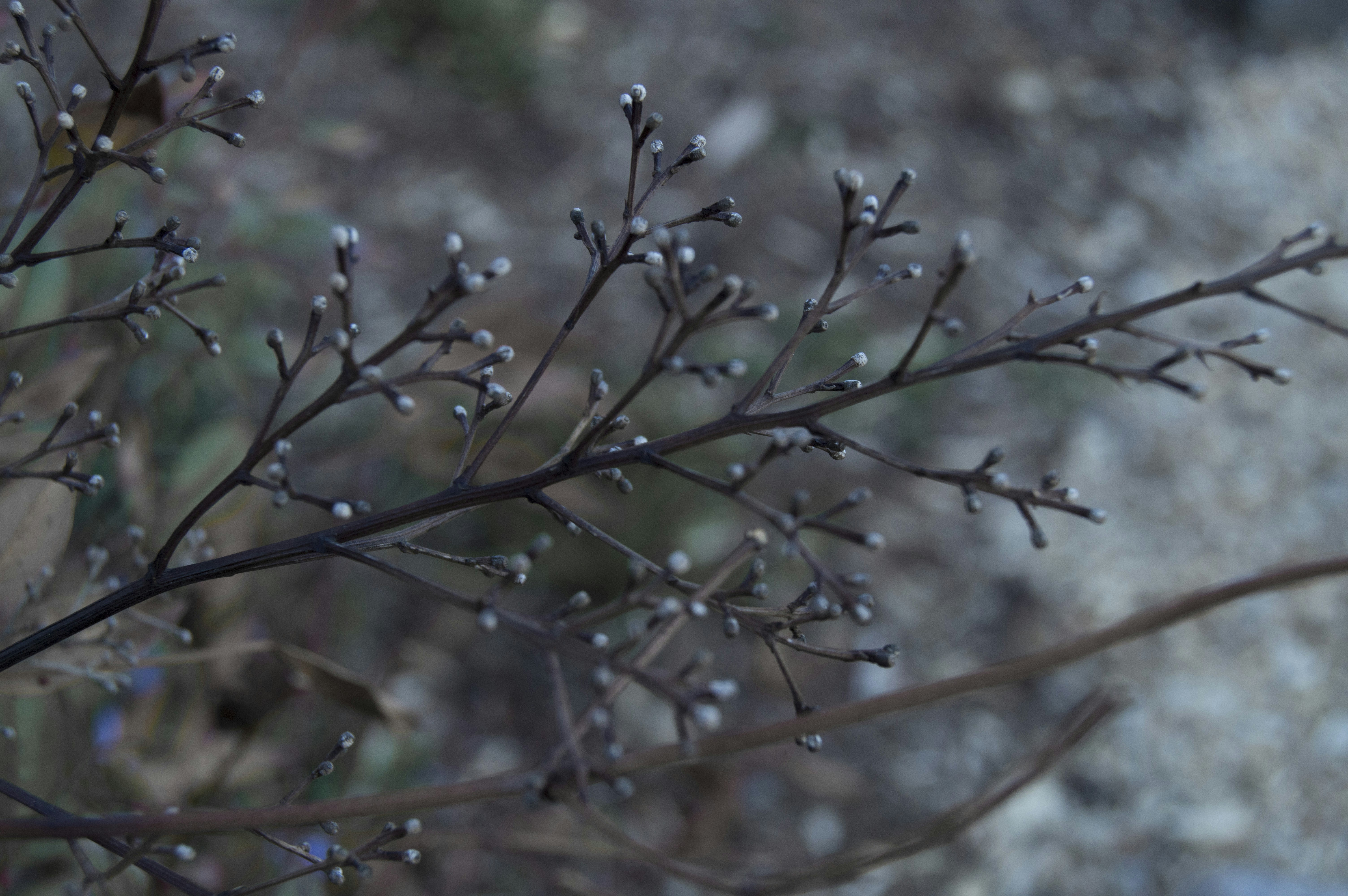 Free Unsplash photo from Emily Hoover