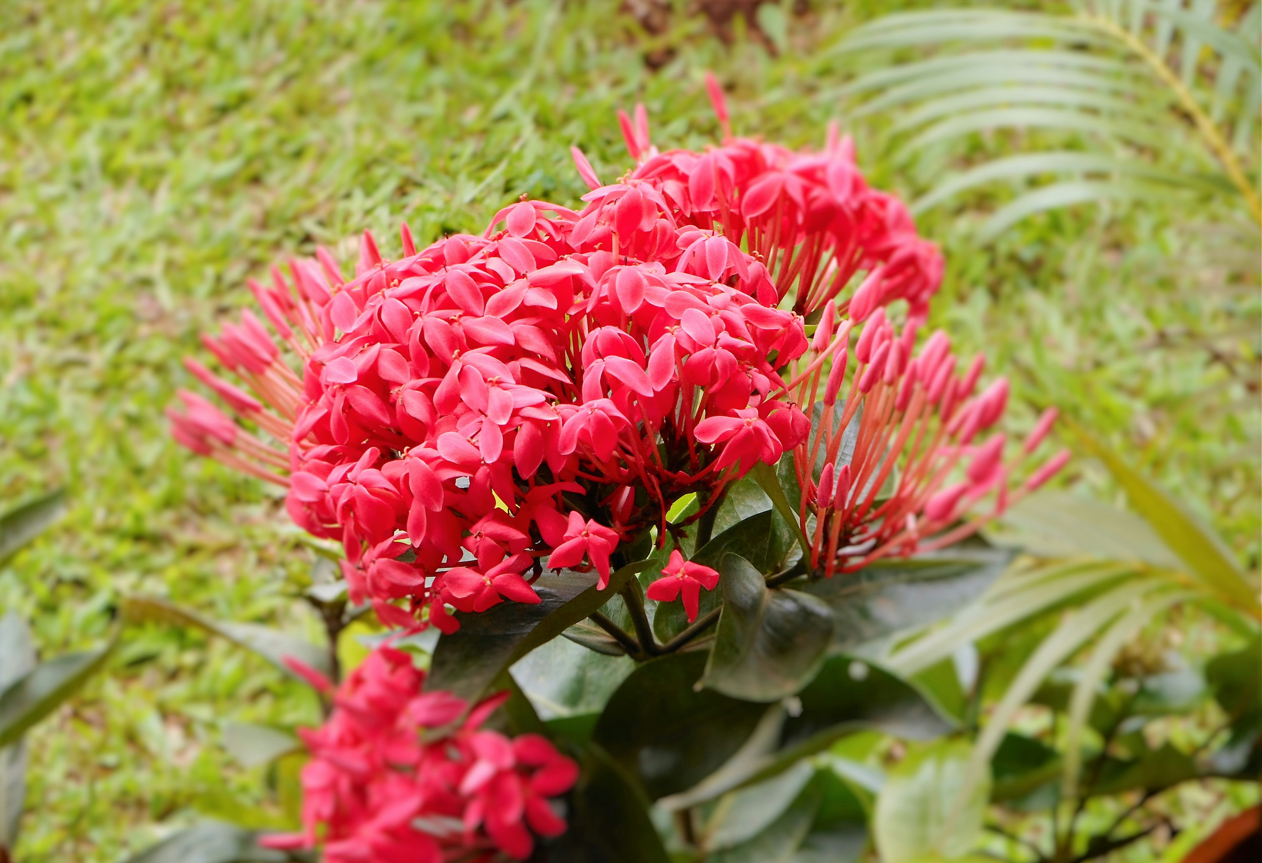 Free Unsplash photo from Anand Agarwal