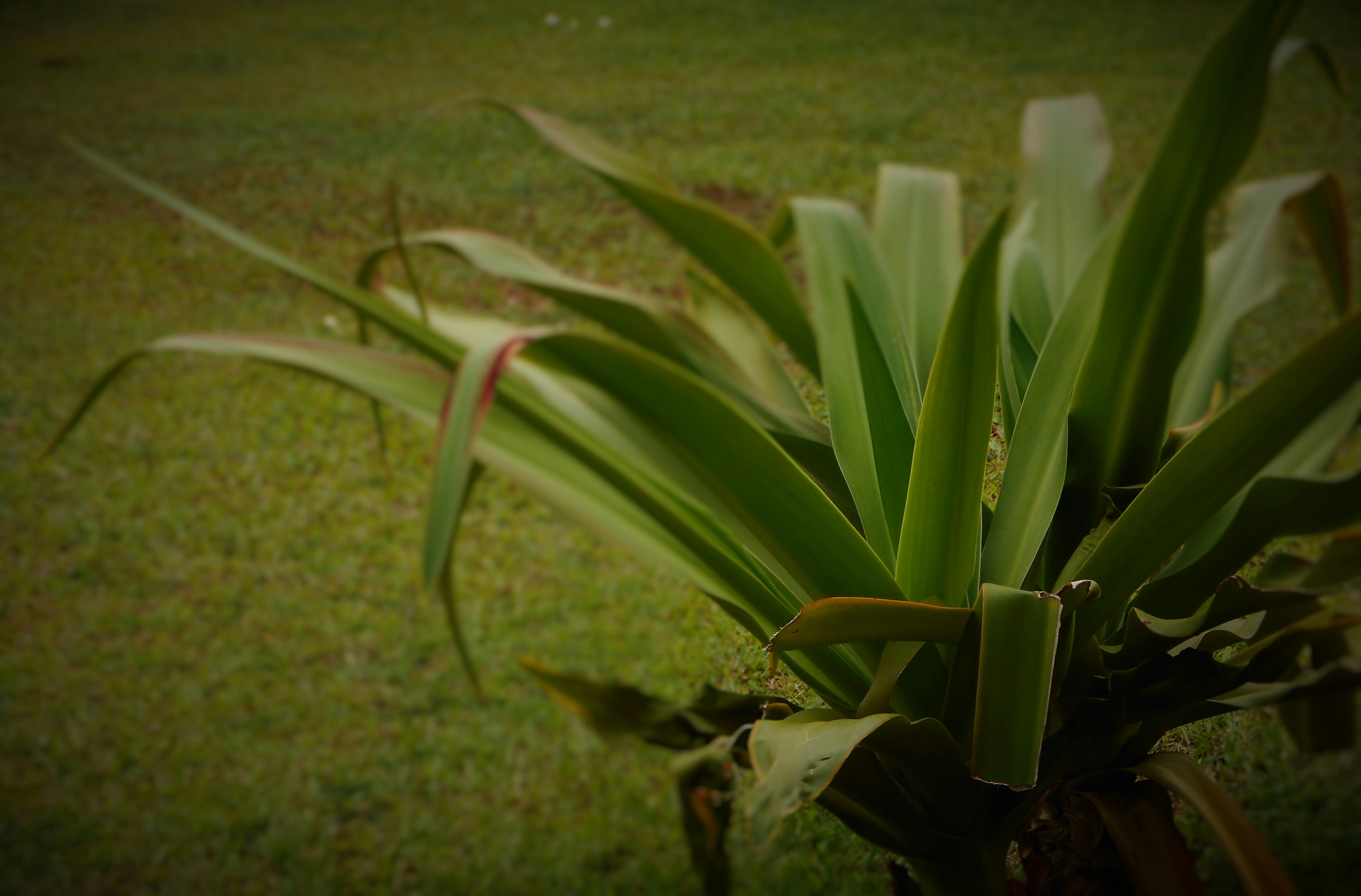 Free Unsplash photo from Anand Agarwal