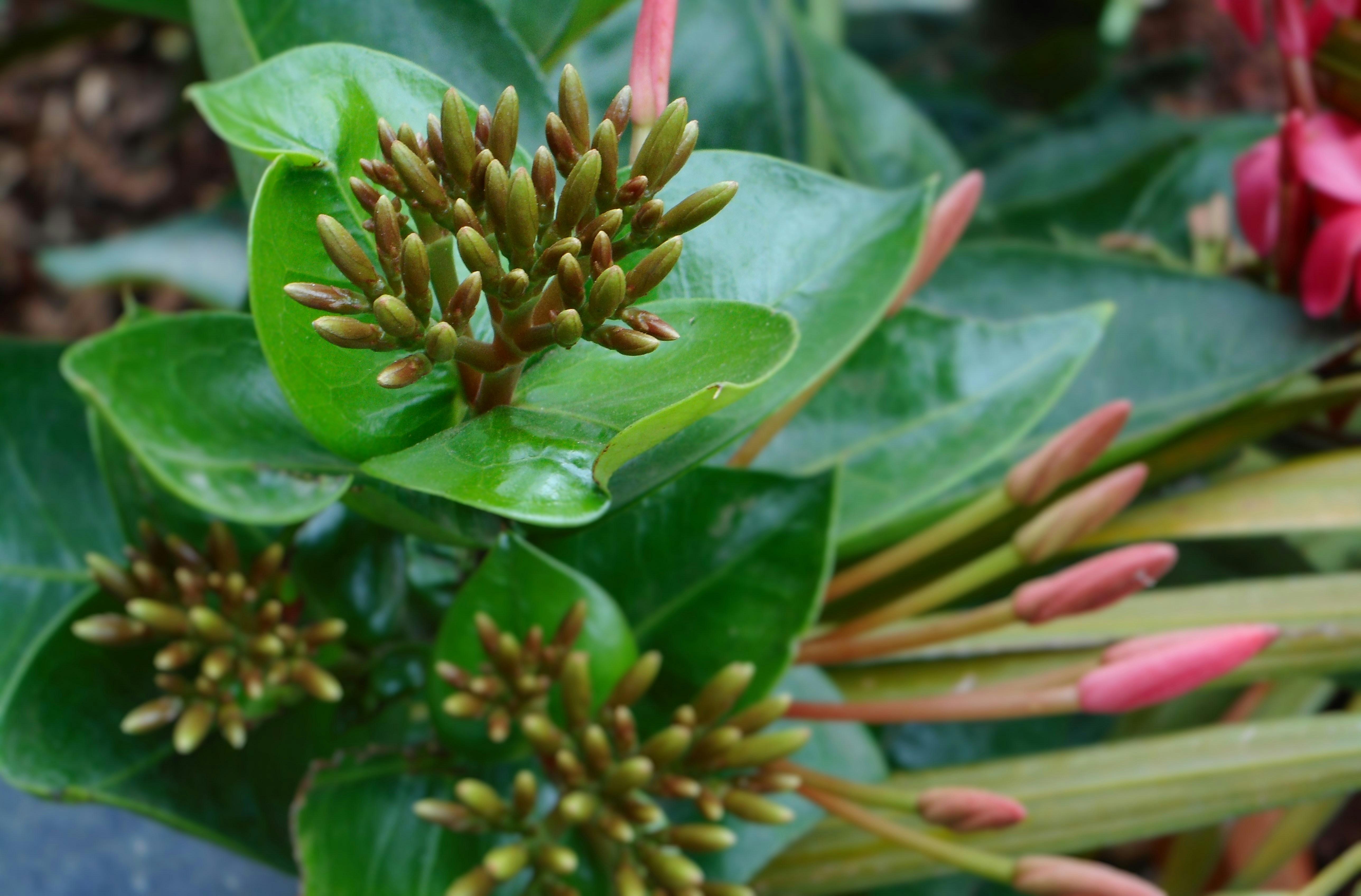 Free Unsplash photo from Anand Agarwal