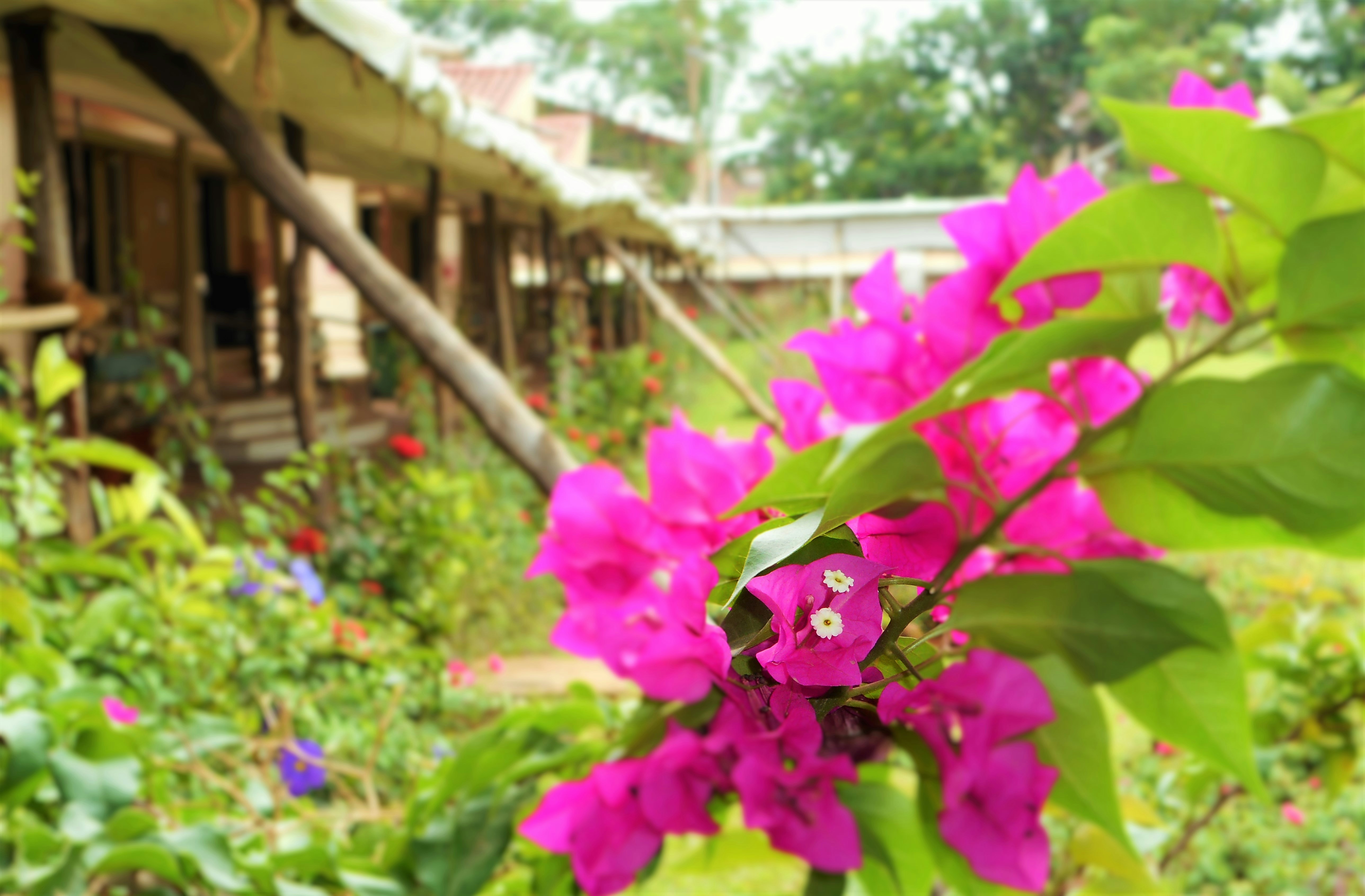 Free Unsplash photo from Anand Agarwal