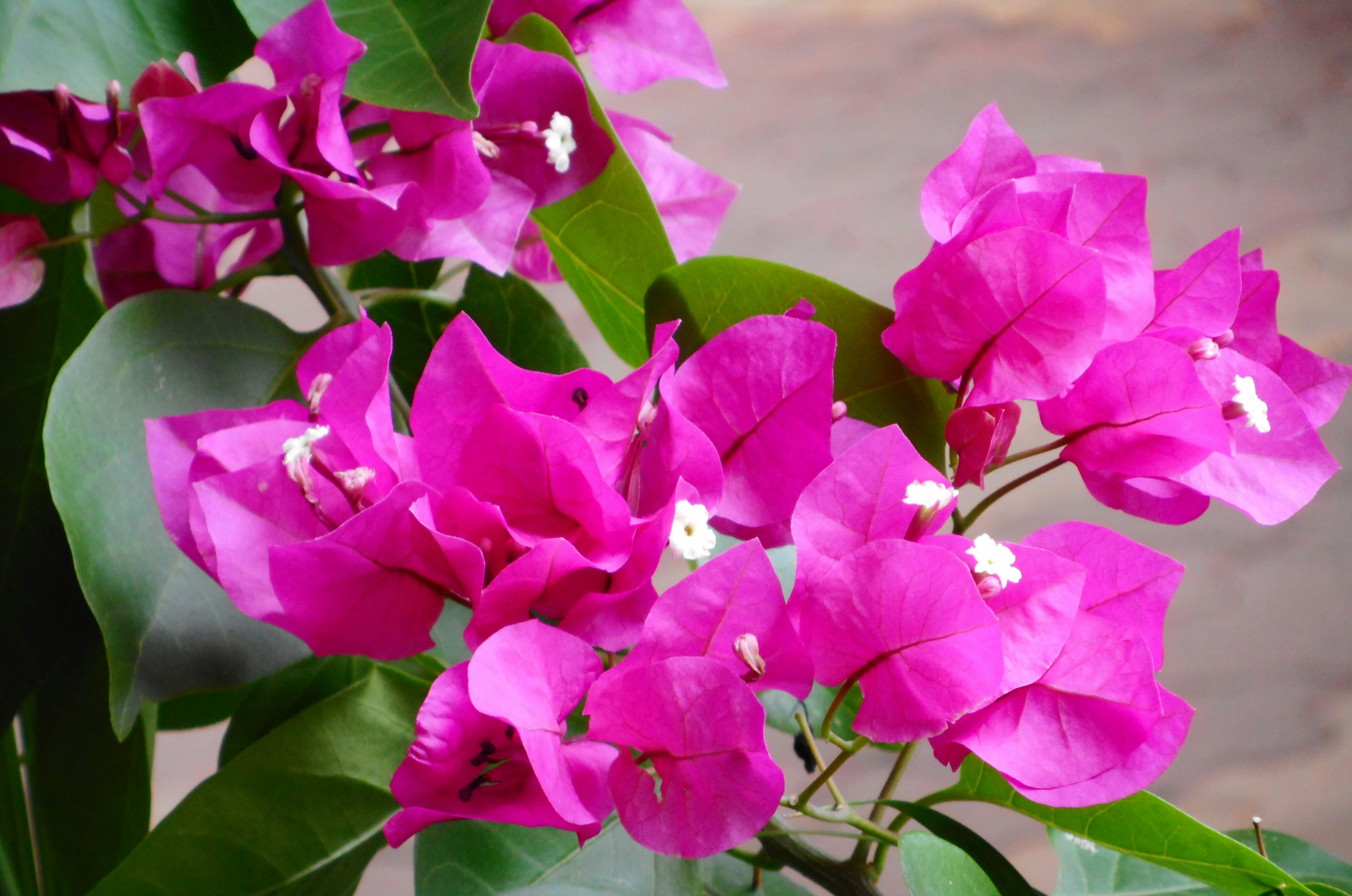 Free Unsplash photo from Anand Agarwal