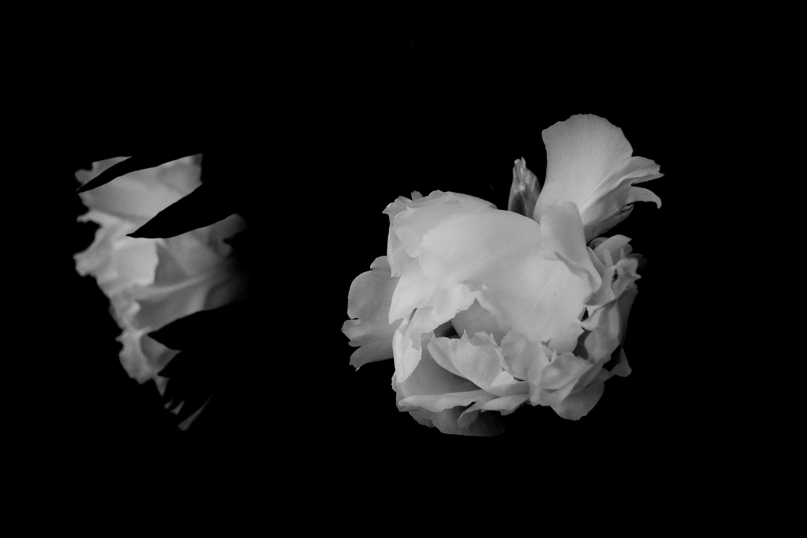 Free Unsplash photo from Anja Brauer