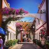 The charming streets of Jericó with blooming flowers and warm sunlight.