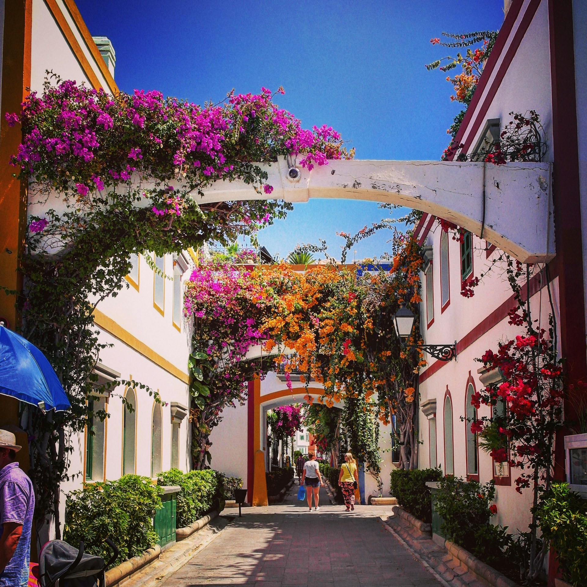 A picturesque view of a traditional Oaxaca street lined with colorful buildings and vibrant flowers.