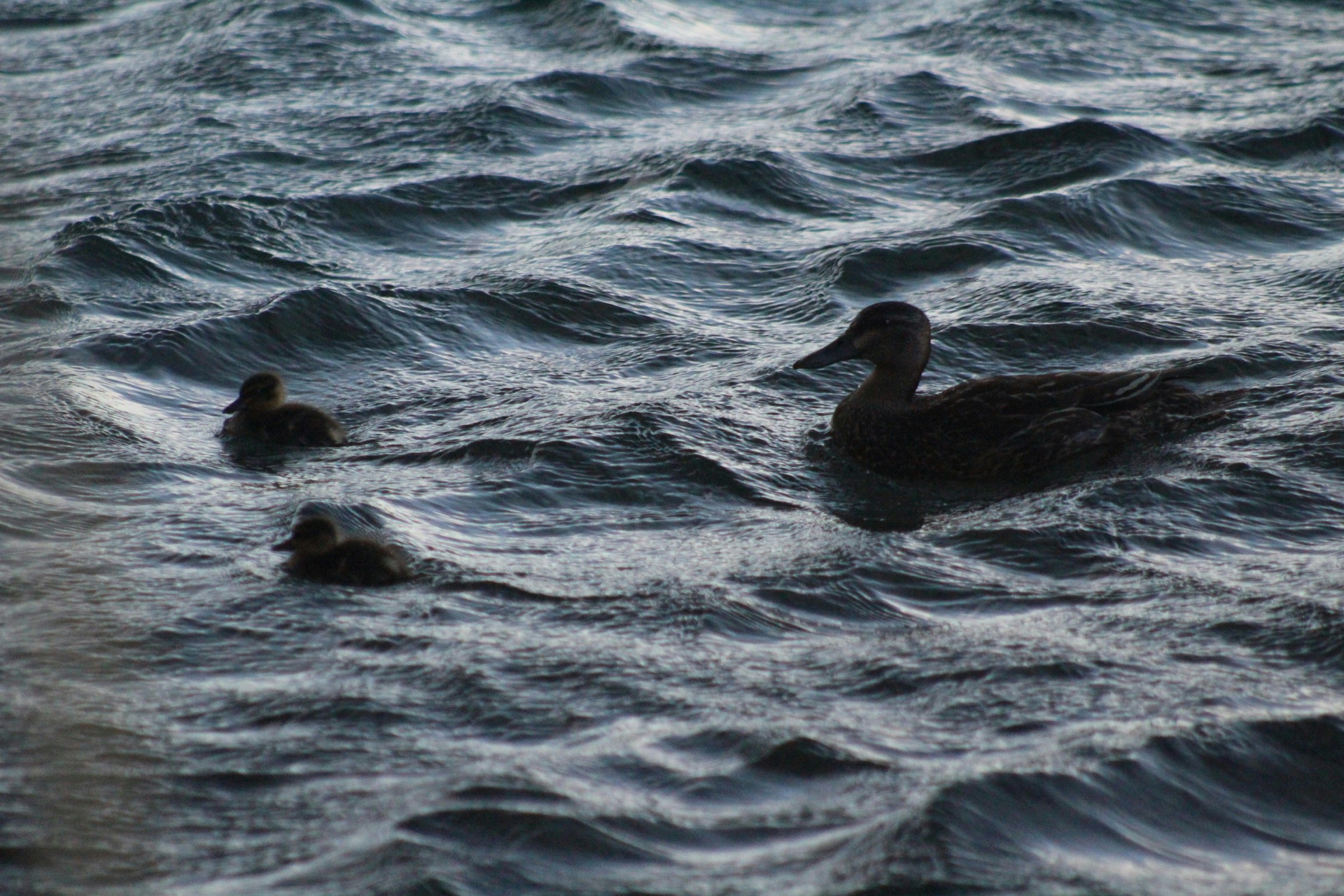 Free Unsplash photo from Jeremy Kerekes