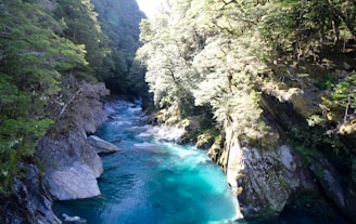A breathtaking turquoise river flowing through lush green Huasteca forest.