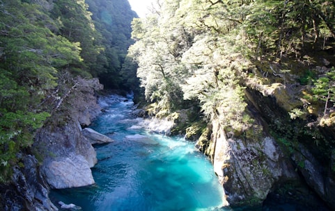 A breathtaking turquoise river flowing through lush green Huasteca forest.