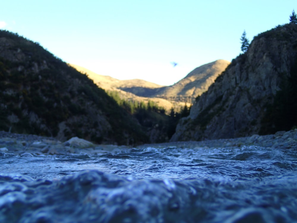 worm's eye-view photo of valley