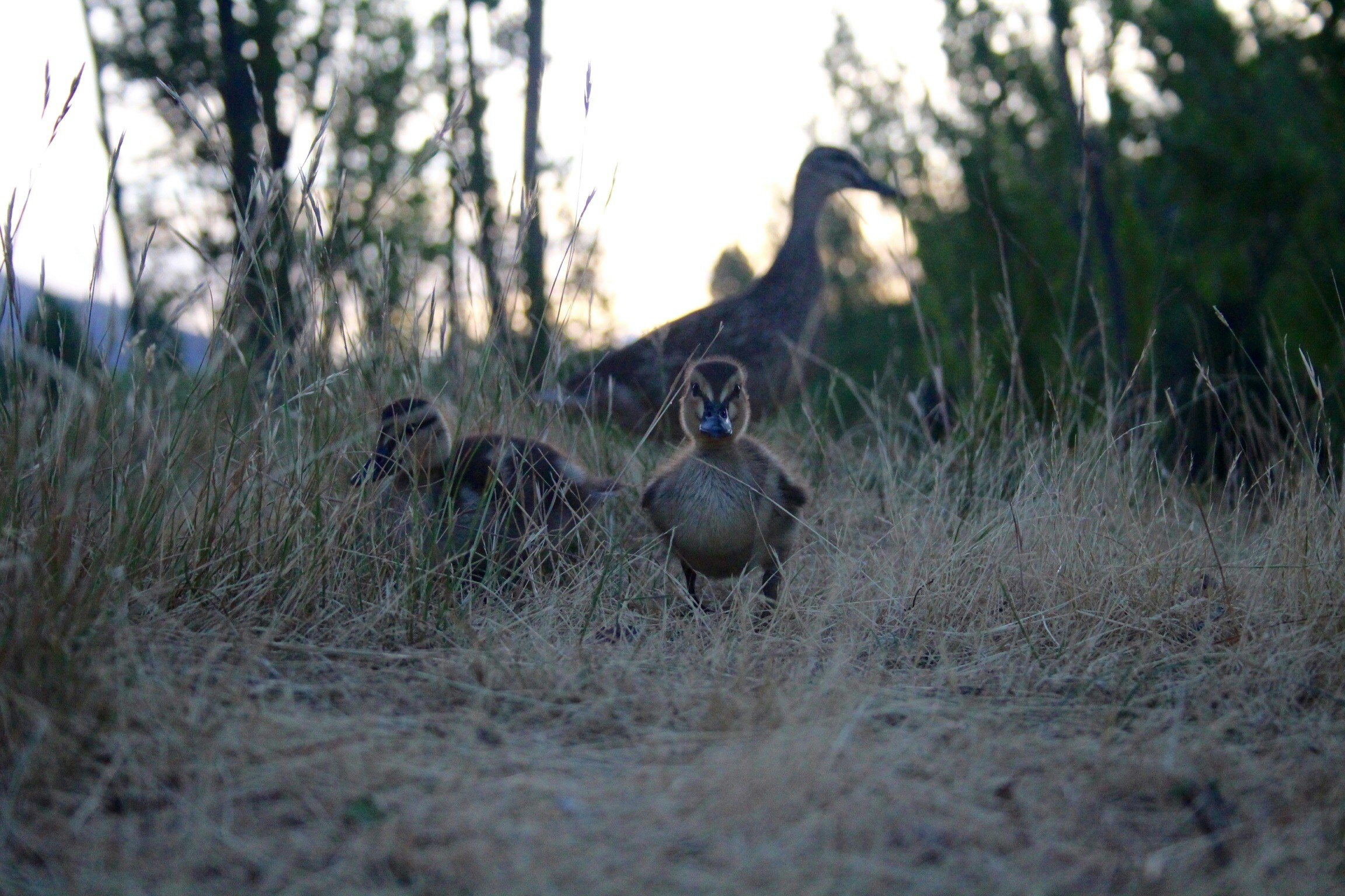 Free Unsplash photo from Jeremy Kerekes