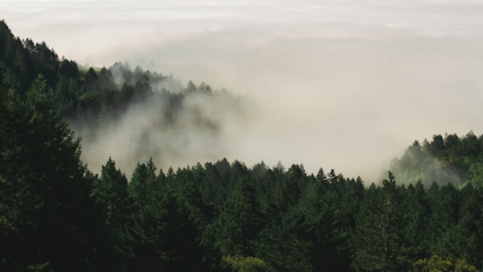 photo of Mill Valley Hill station near Point Reyes