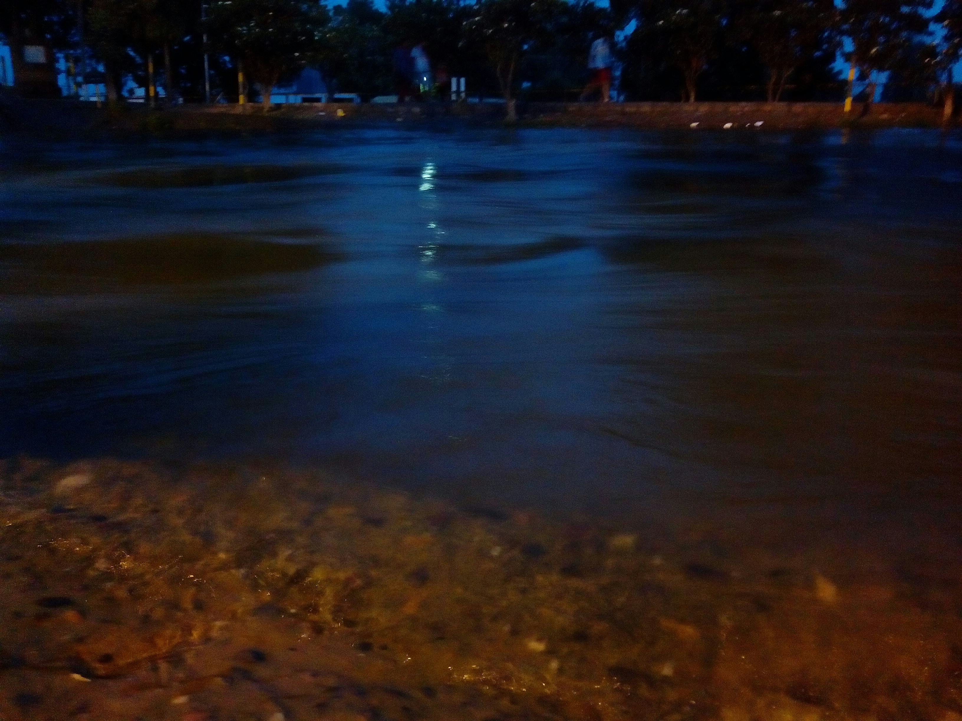 Free Unsplash photo from Anuja Jasrotia