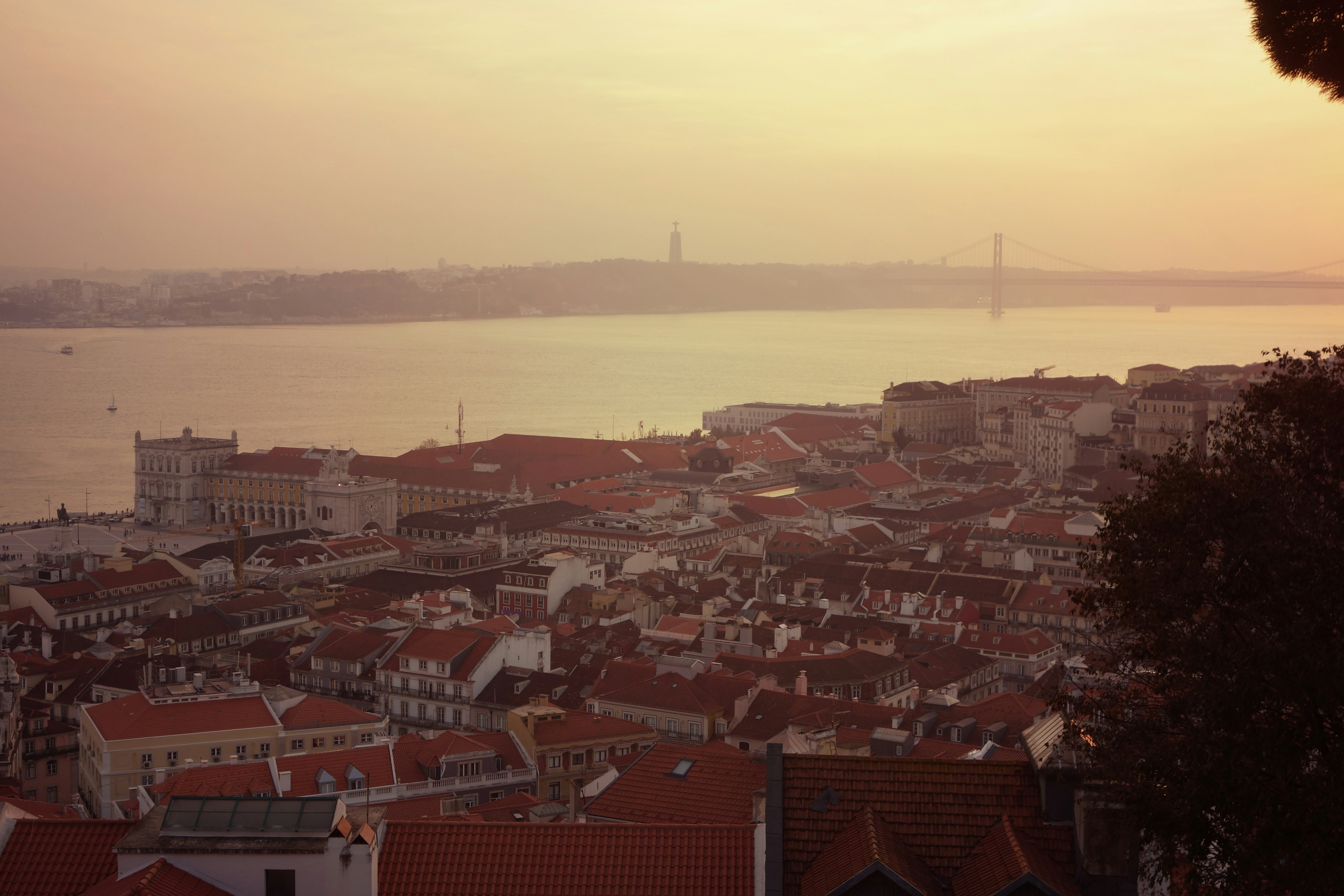 Free Unsplash photo from Joanna Betlej