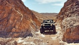 A Jeep navigating a rocky path with towering pine trees under a bright blue sky.