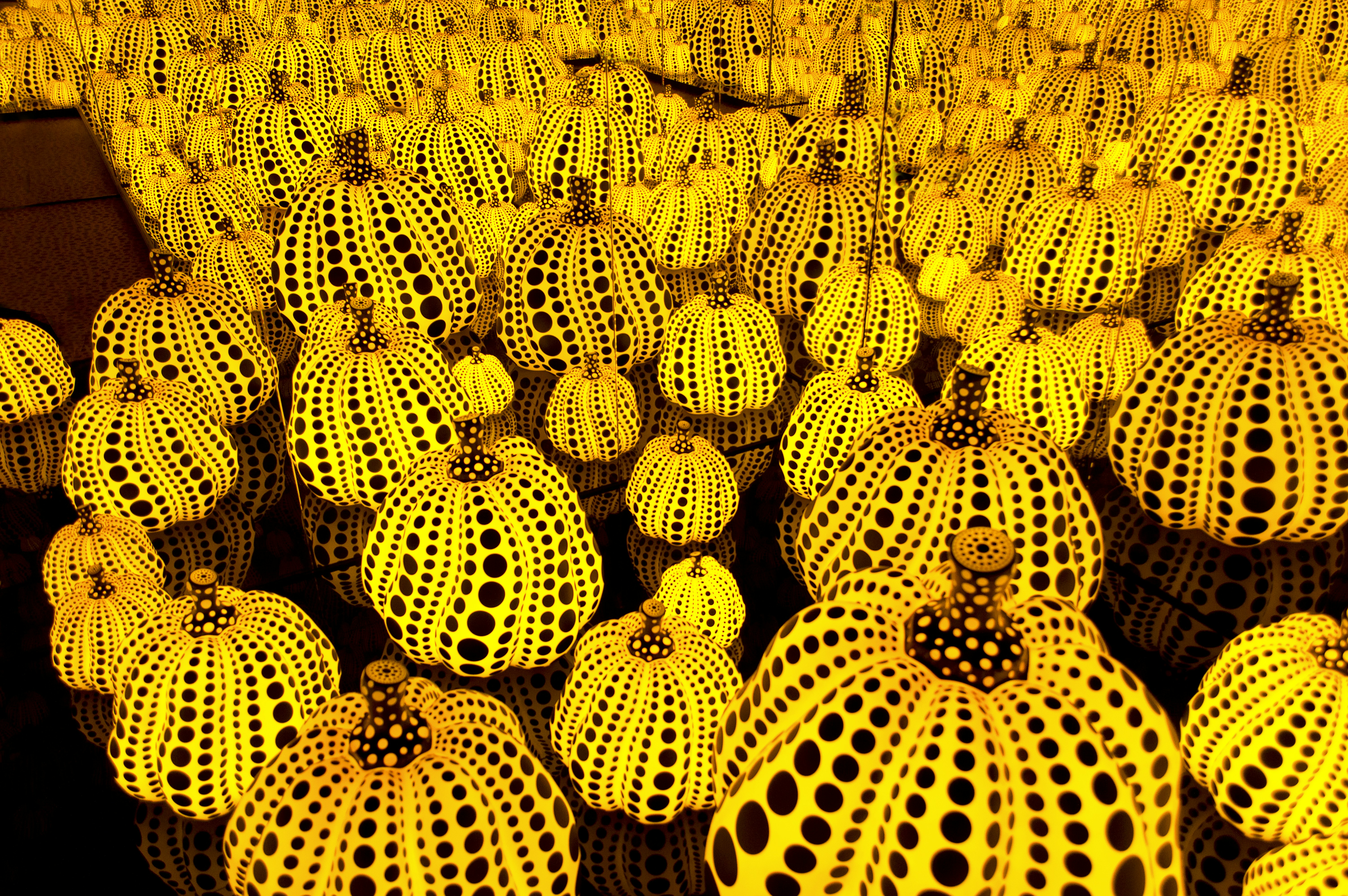 Free Unsplash photo from Paweł Kozera