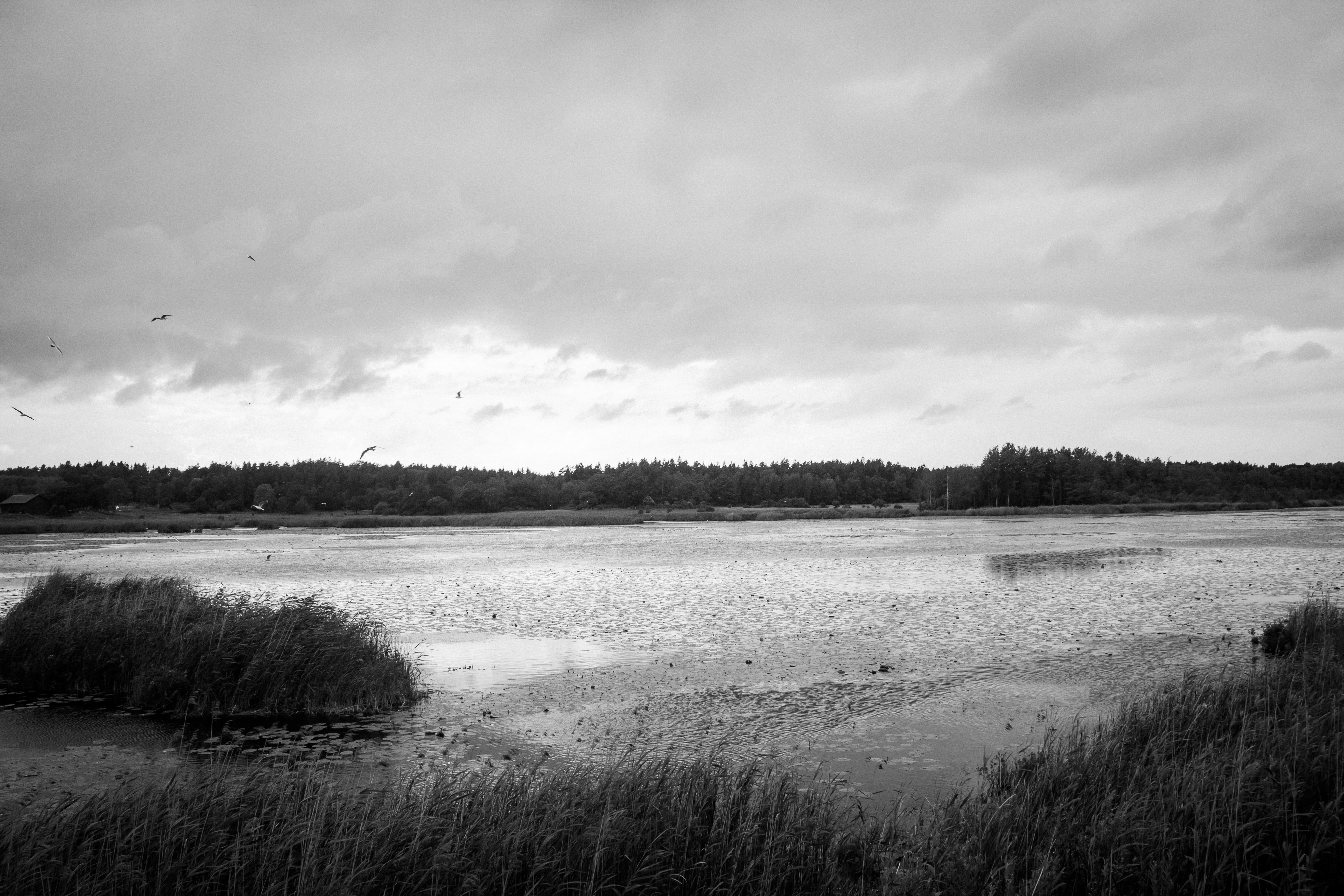 Free Unsplash photo from Jack Oliver