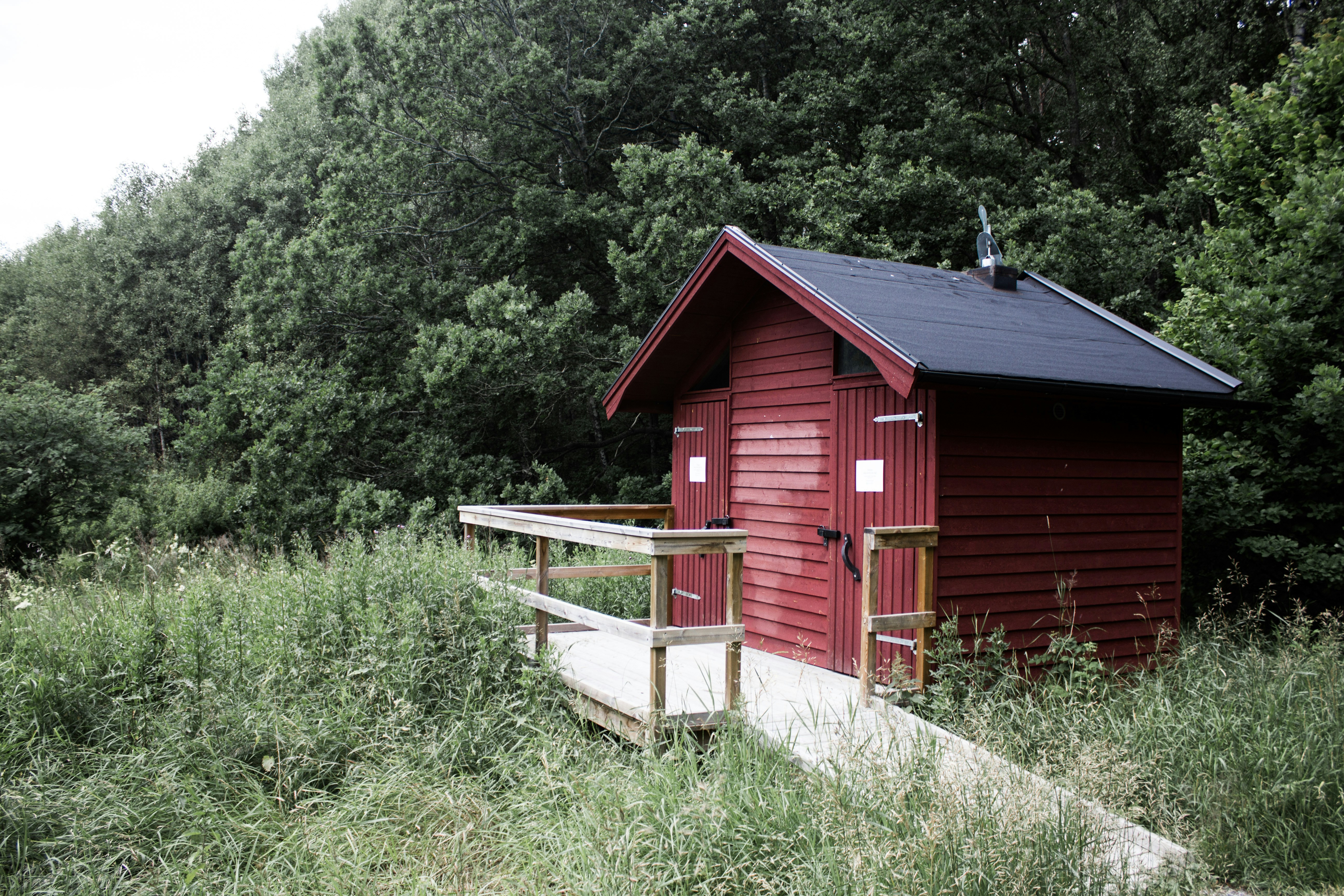 Free Unsplash photo from Jack Oliver