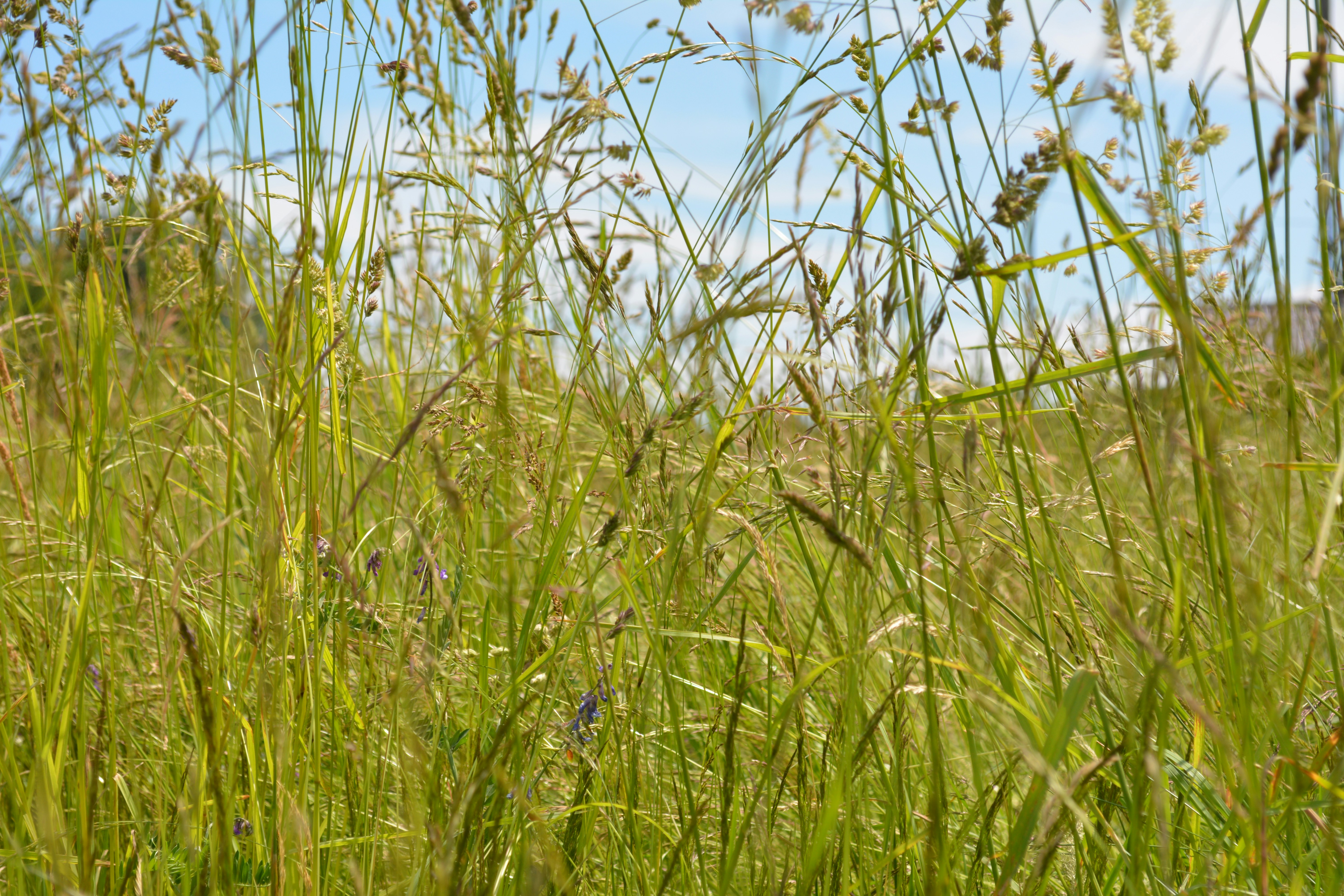 Free Unsplash photo from Denys Zaiats