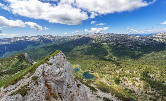 rock formation near forest in Triglav National Park Slovenia