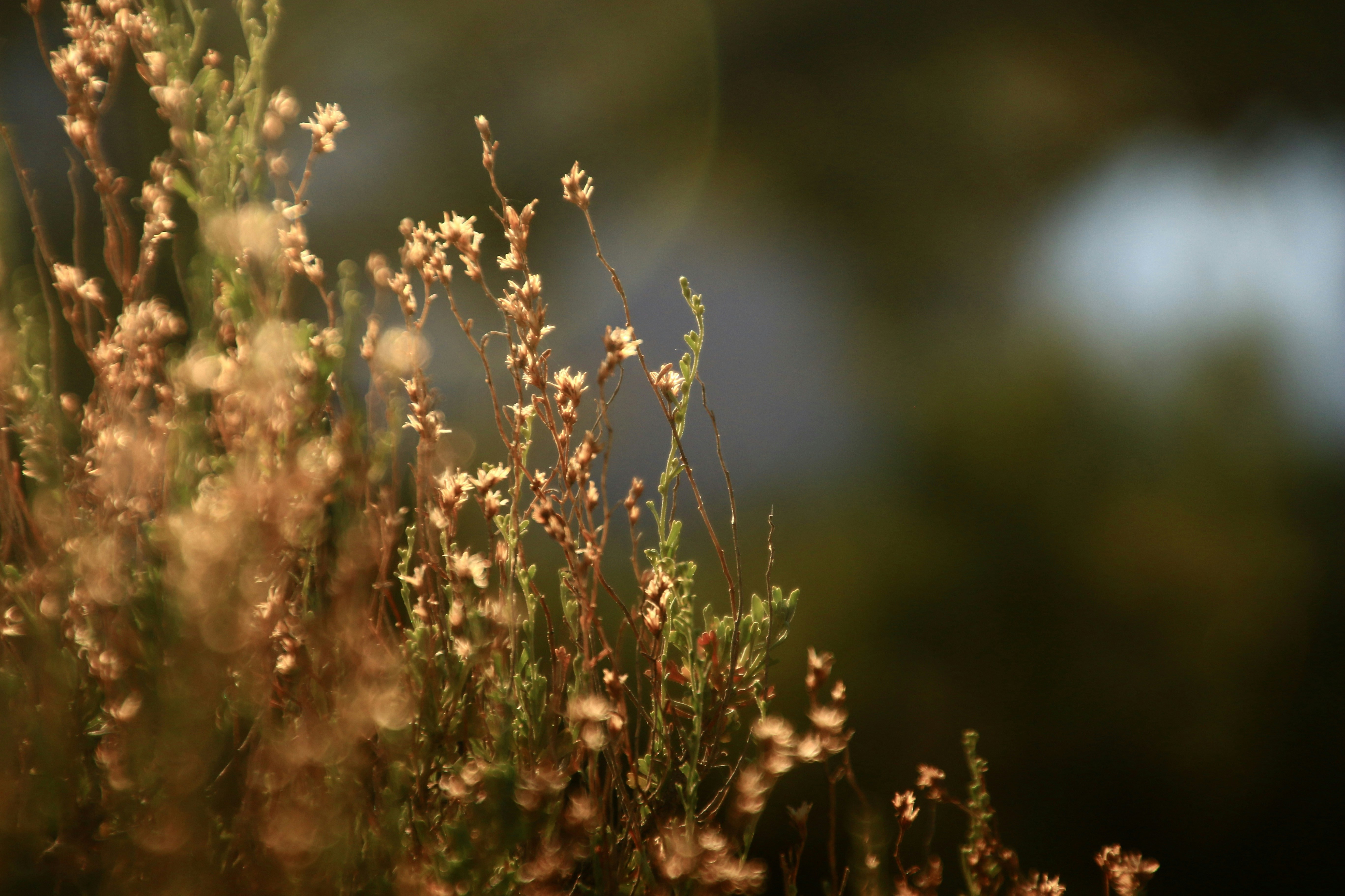 Free Unsplash photo from Hannah Grey