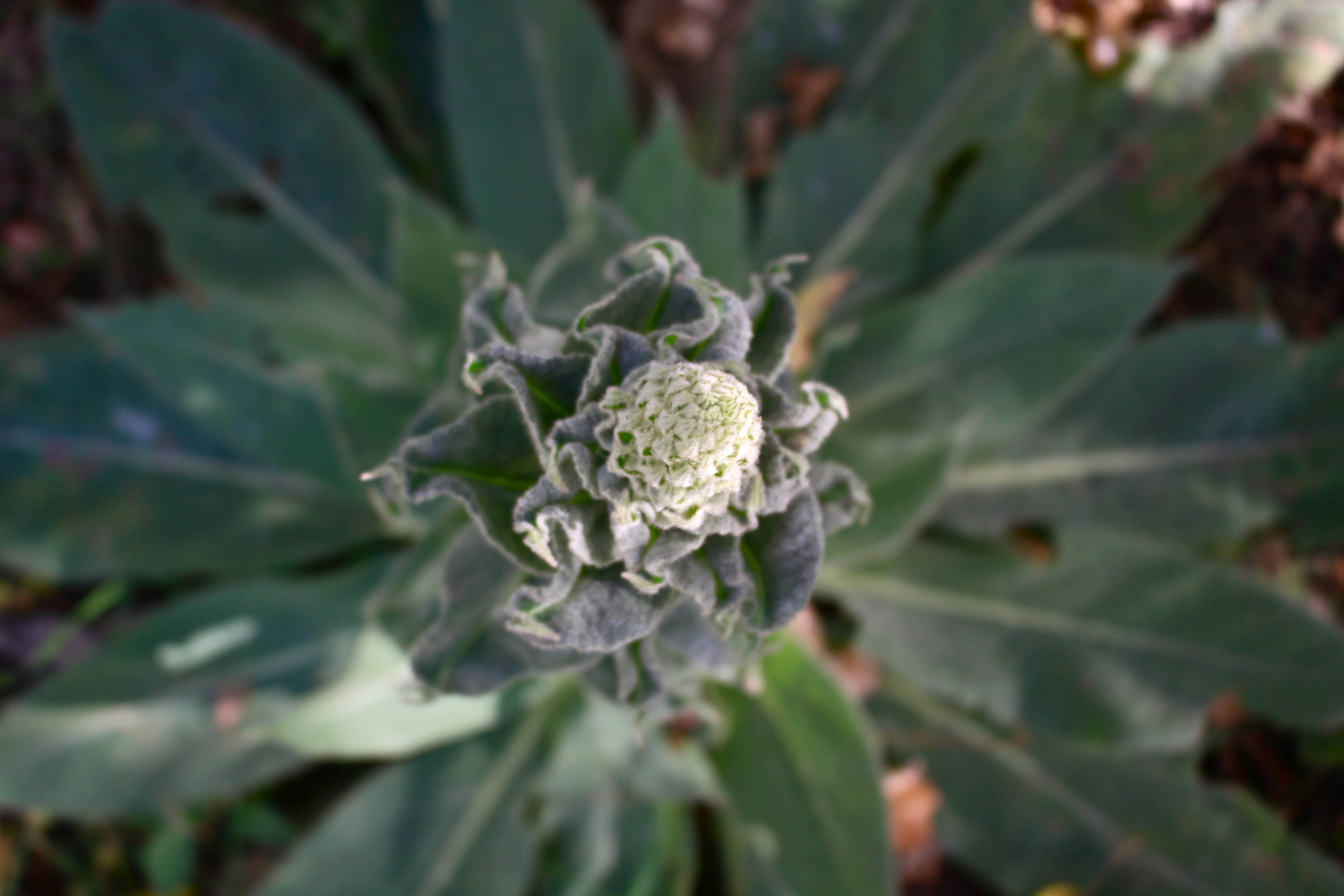 Free Unsplash photo from Hannah Grey