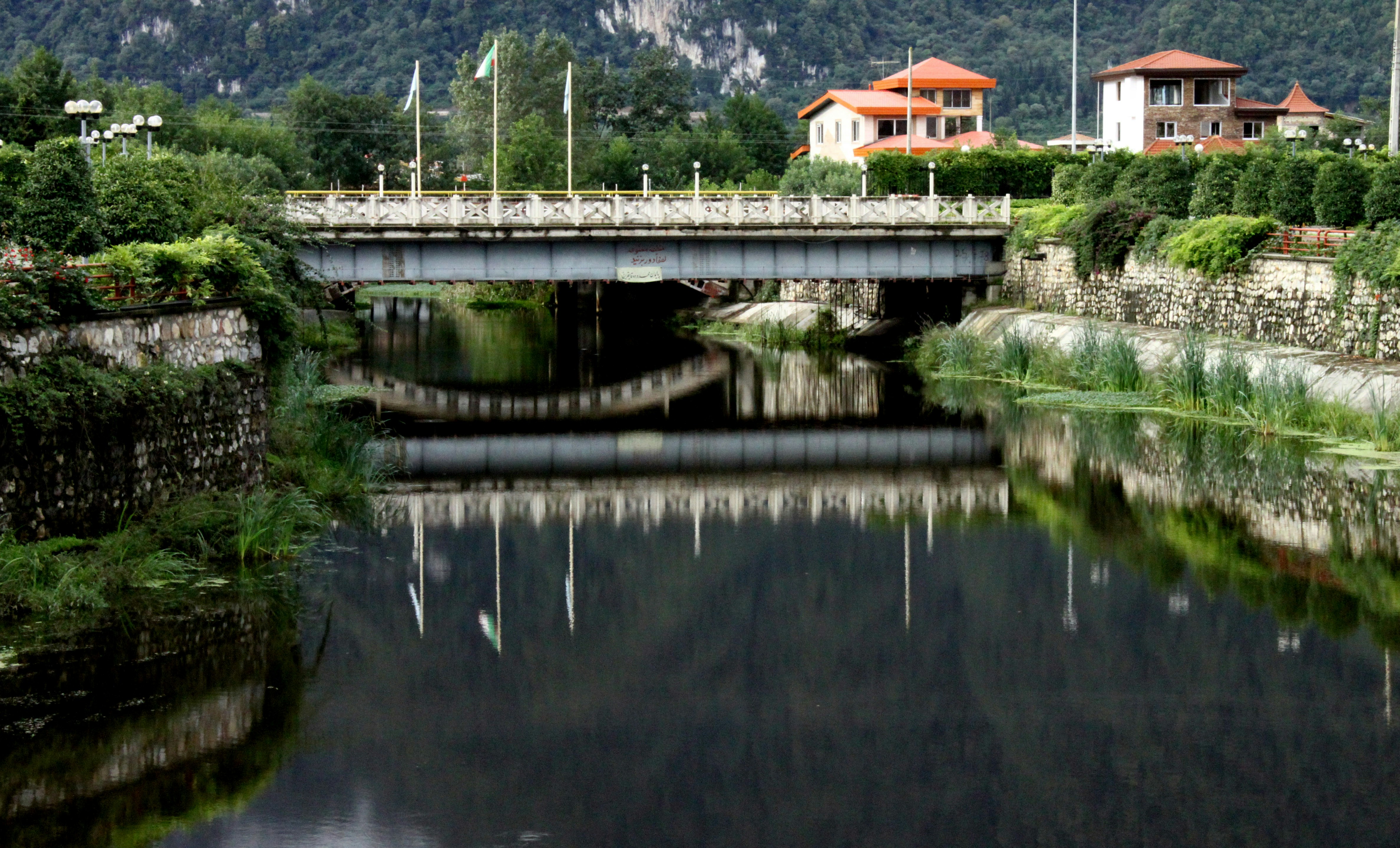 Free Unsplash photo from mahsa khoshravan