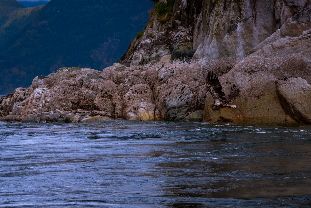 photo of Vancouver Island Cliff near Great Central Lake