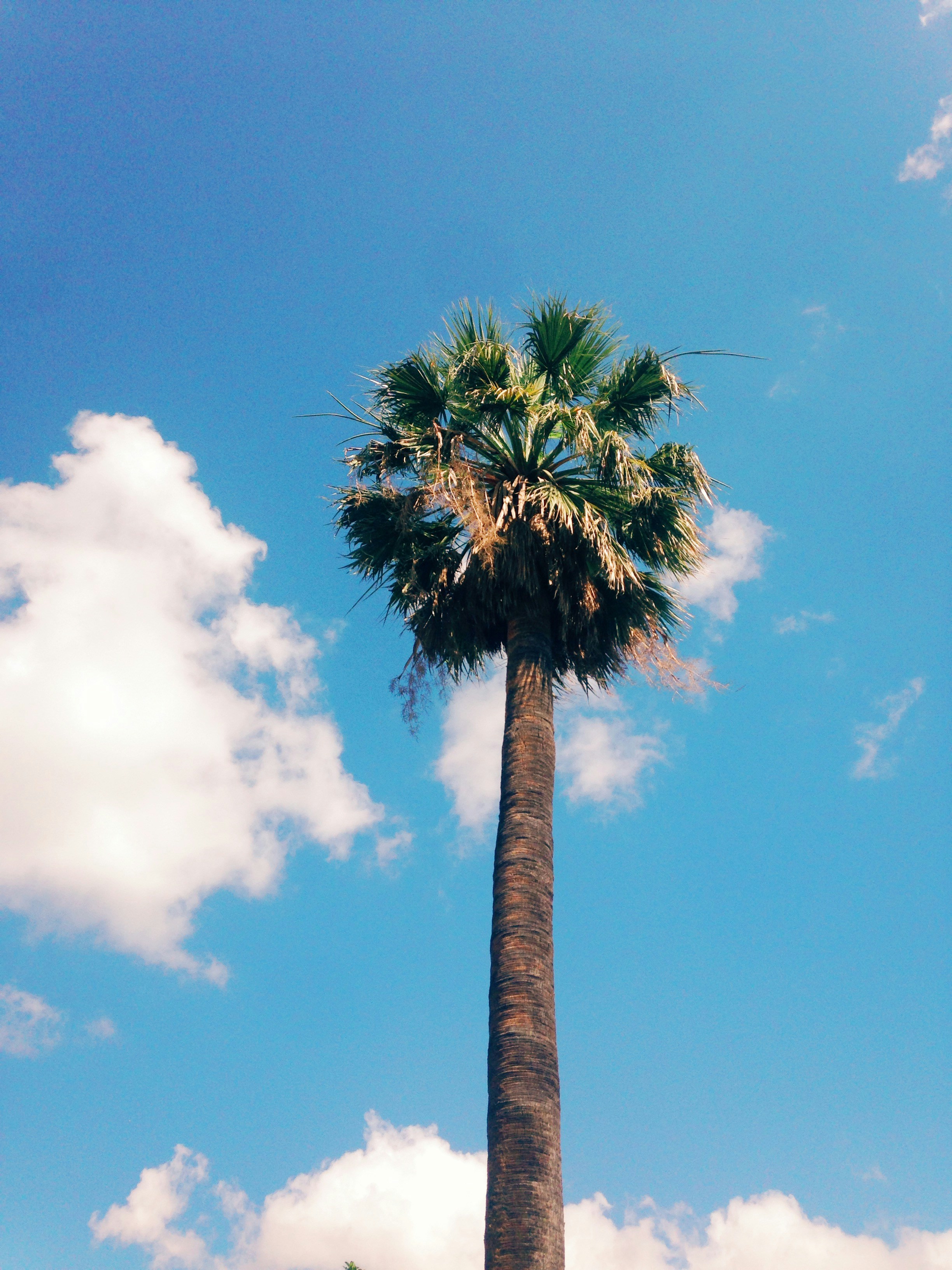 Free Unsplash photo from Buse Yapan