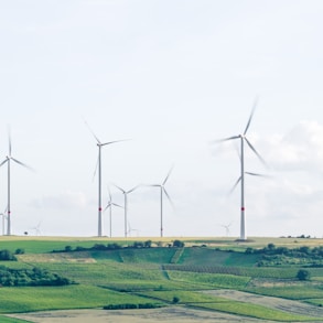 windmill surrounded by grass during daytime