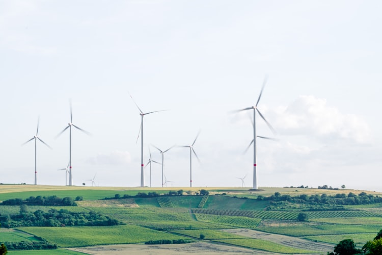 Corea del Sur busca tener el parque de energía eólica marina más grande del mundo - photo-1467579424161-6bbc141569d7?ixid=MXwxMjA3fDB8MHxwaG90by1wYWdlfHx8fGVufDB8fHw%3D&ixlib=rb-1.2