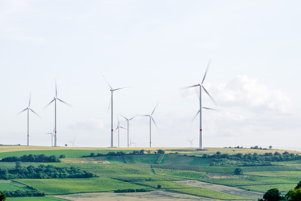 windmill surrounded by grass during daytime