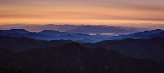 aerial view of overlooking mountains in Mount Le Conte United States