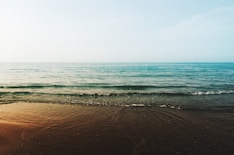beach shore