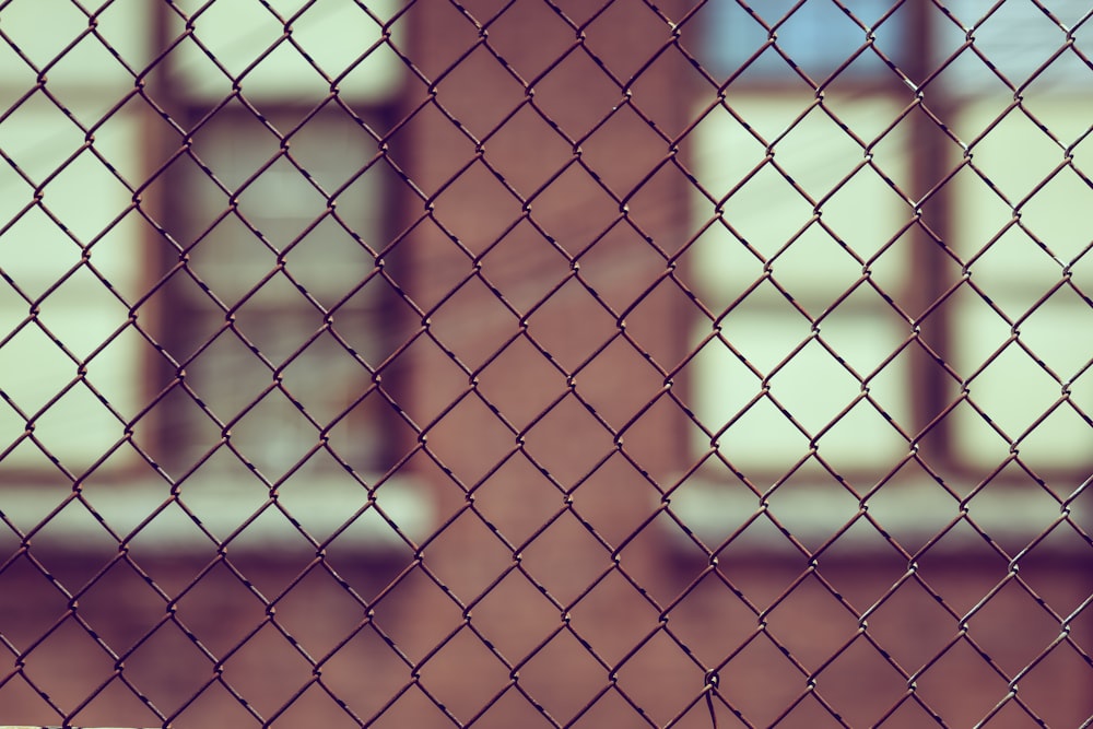 black chain-link fence